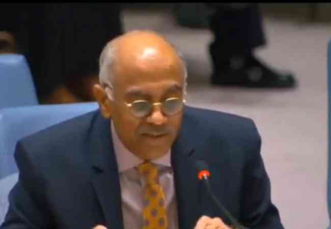 India reaffirms support for two-state solution at UN Security Cou...