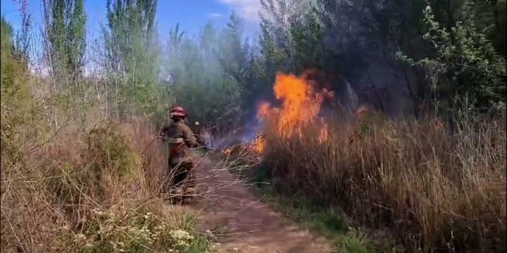 Incendiaron pastizales en un área protegida de Neuquén: la principal hipótesis es que fue provocado