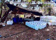 Aseguran drogas y sustancias químicas en Sinaloa por 756 millones de pesos