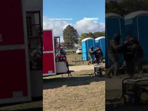 WATCH: Federal agents drag suspect out of porta potty #foxnews #news #shorts #viral
