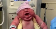 New mum says 'they were absolutely shocked' after giving birth to 13