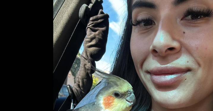 «Tocaron el timbre a las 3 de la madrugada y ahí estaba Muyi»: el misterioso regreso del pájaro más querido de Son Ferriol