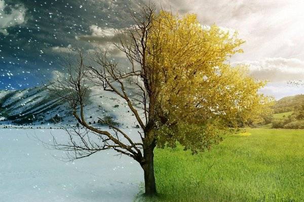 Qué significa preferir el verano al invierno y viceversa según la psicología