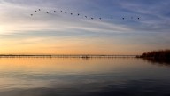 La UPV estudia soluciones basadas en la naturaleza que ayuden a combatir el cambio climático
