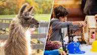 List: What to do in the DC area this week and weekend, though Oct. 19