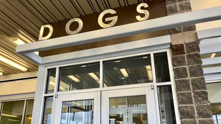 Council split on how to best address Lubbock's stray, dangerous dogs