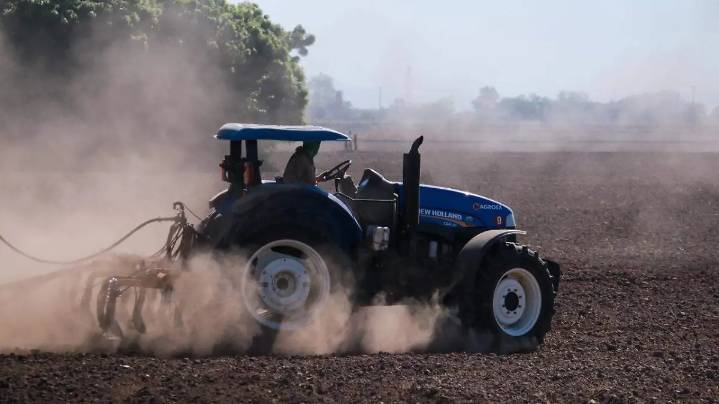 Sader prepara propuesta a productores, pero fija precio de maíz en 6 mil 50 pesos