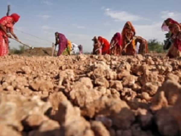 Budget FY27 may peg MGNREGA outlay at record high, FY26 estimate likely to remain unchanged