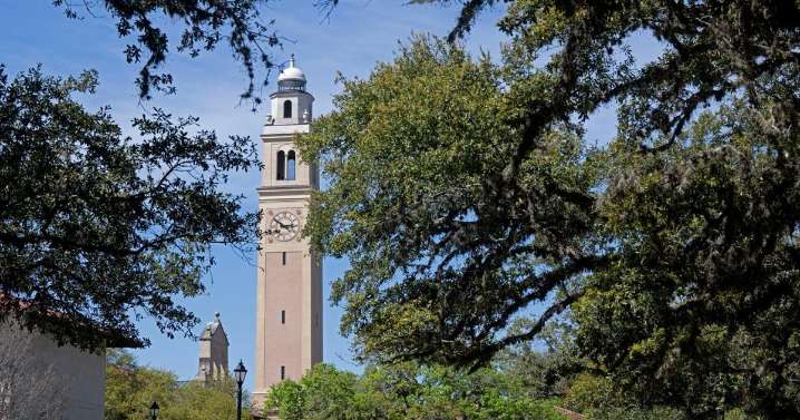 Three finalists named in the search for LSU president following all
