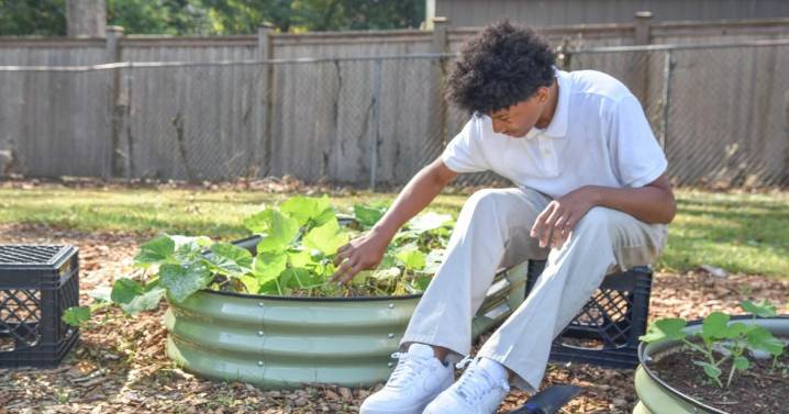 Maggie Brown students go green in school garden