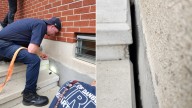 Connecticut Family Investigates High Pitched Cries Beneath The Steps And Is Shocked To Find Out What It Is
