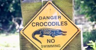Desperate hunt for missing Brit, 71, who vanished on hike to croc