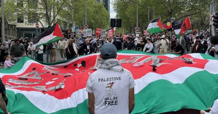 Labor 'dreaming' with Gaza claim, activists vow rallies