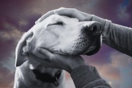 Indiana Woman Receives Outpouring of Support After Inquiry About Her Dog’s End