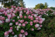 How do I set up a sprinkler system?