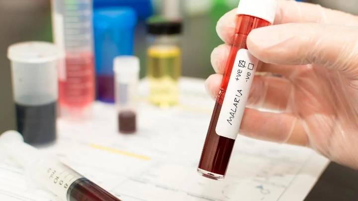 Over 1300 malaria and dengue cases reported in Sept; BMC issues advisory