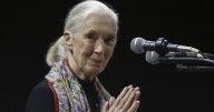 Photos: Notable deaths in 2025
