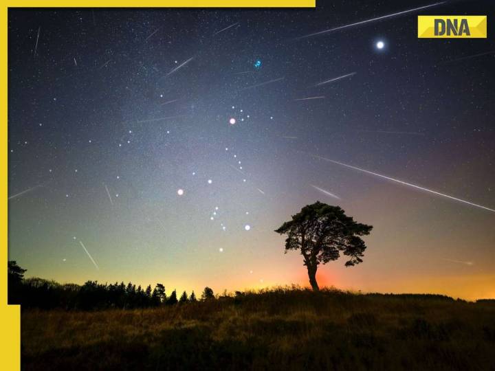 10 stunning night sky events you can't miss this November 2025