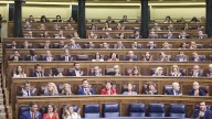 El Congreso aprueba el decreto de embargo de armas a Israel y lo tramitará como ley