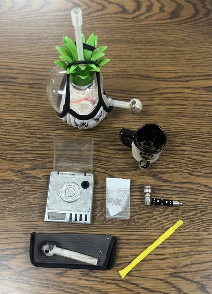 Piedmont Drug Arrests