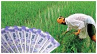 Nashik Collector Bars Banks From Deducting Farmers' Rain Relief For Loan Recovery
