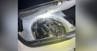 Federal officers seize 20 kilos of meth during Memphis traffic stop, authorities say