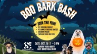 Have Halloween fun Oct. 18 at One South Euclid’s ‘Boo Bark Bash’ pet event