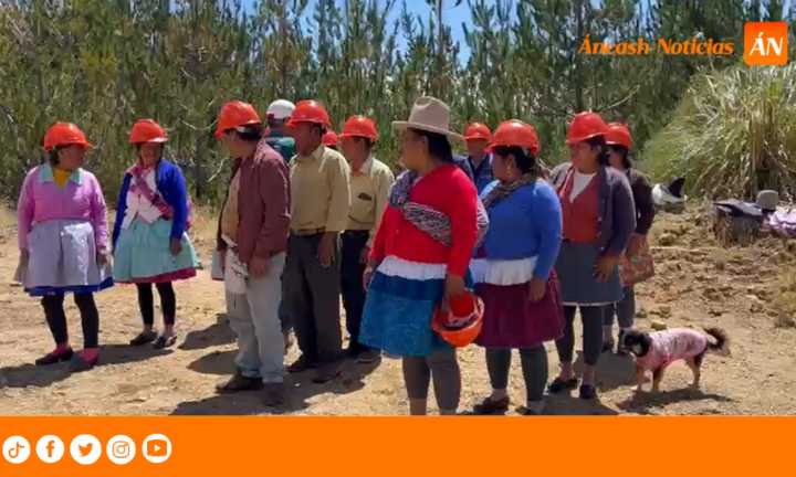 Independencia: Shecta mejora sus bosques con poda y raleo de árboles