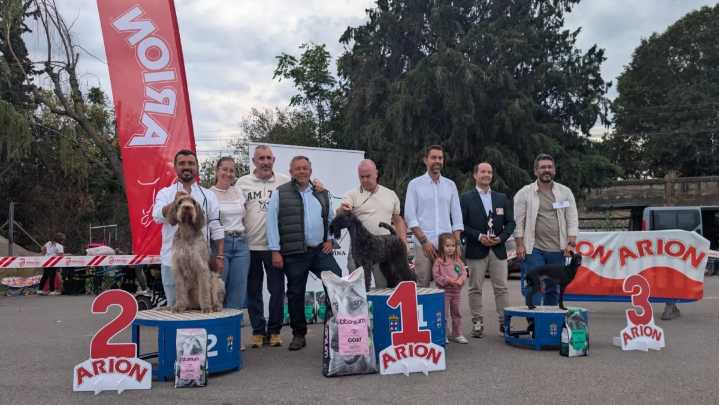 El IX Concurso Nacional de Morfología Canina 'Ciudad de Monzón' reúne a 100 ejemplares en una edición de récord