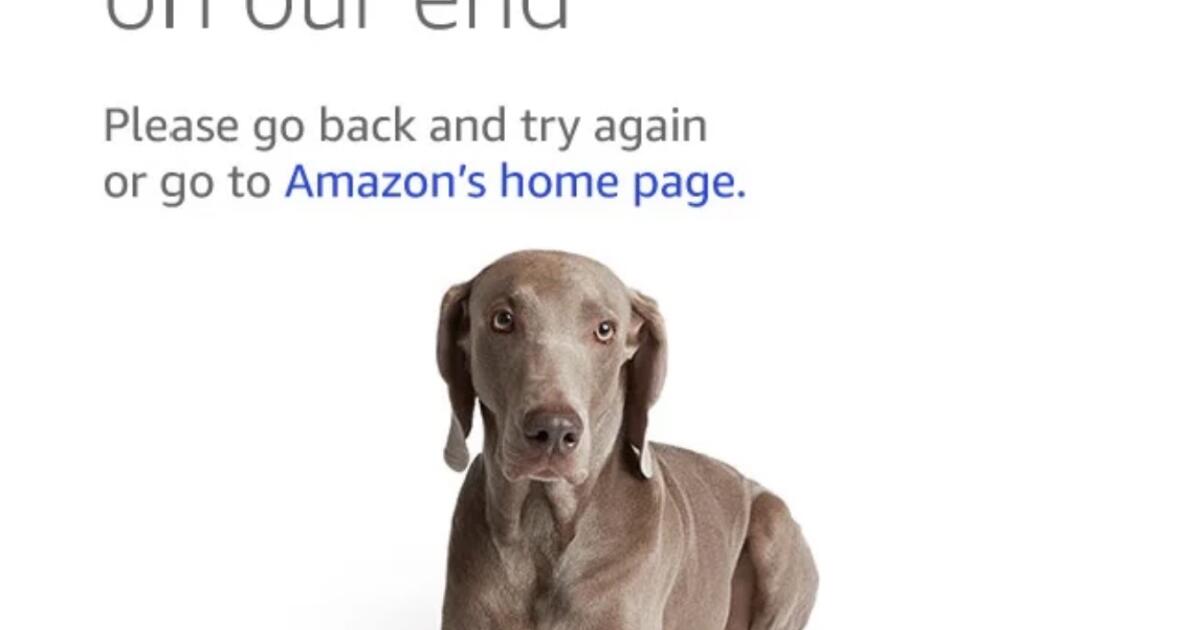 Commentary: Amazon's big outage reminds us that we trust big tech companies far too much