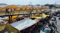 Maltrato animal en Mercado de Sonora no se detiene por descoordinación, acusan activistas