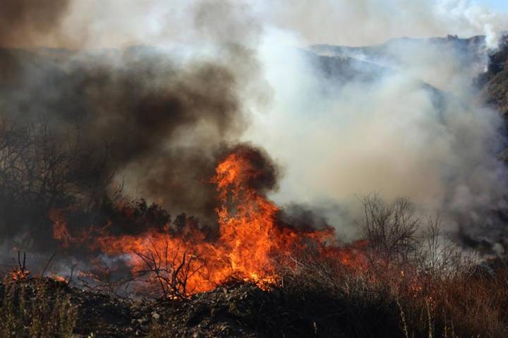 Arrestan a un hombre por el incendio de Palisades, en California, que dejó doce muertos