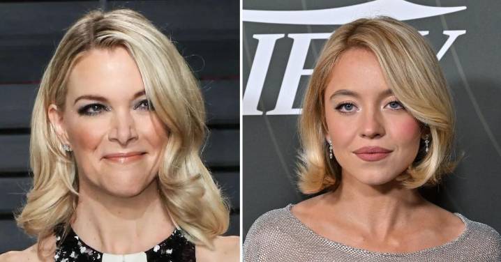 'I Draw the Line at Areola!': Megyn Kelly 'Disapproves' of Sydney Sweeney's See
