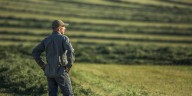 Farm bankruptcies are soaring amid low crop prices, while Trump considers bailout of up to $14 billion