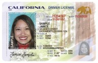 California rolls out driver’s license with new design and security features