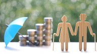 New NPS schemes bring more choice but also more complexity