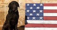 Texas Game Wardens announce passing of K9; handler shares poems in remembrance