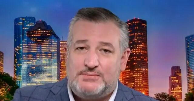 Ted Cruz: 'The Government Will Reopen When Schumer's Temper Tantrum Ends'
