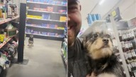 Florida Stray Walks Into Store And Finds The Man She Was Meant To Love