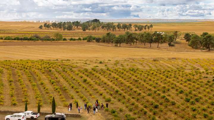 Ossian presenta su nueva bodega en Nieva en Segovia con viñedos centenarios