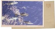 Greetings from the Mediterranean, where dolphins swim alongside a migrant rescue ship