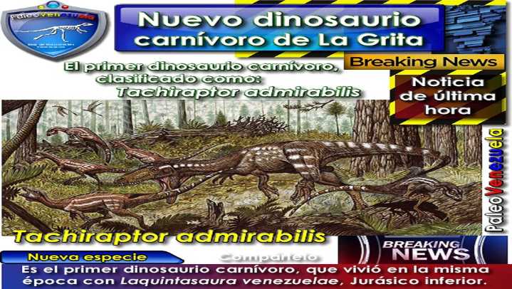 Tal día como hoy se publicó hallazgo en Venezuela de restos del Tachiraptor admirabilis