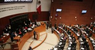 Senado prepara voto exprés para la Ley de Amparo sin revisión en Comisiones