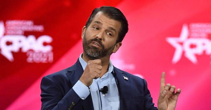 Donald Trump Jr. Fuels Wild Social Media Conspiracy About His Tweets