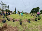 Concluye campaña de reforestación con más de 125 mil árboles plantados