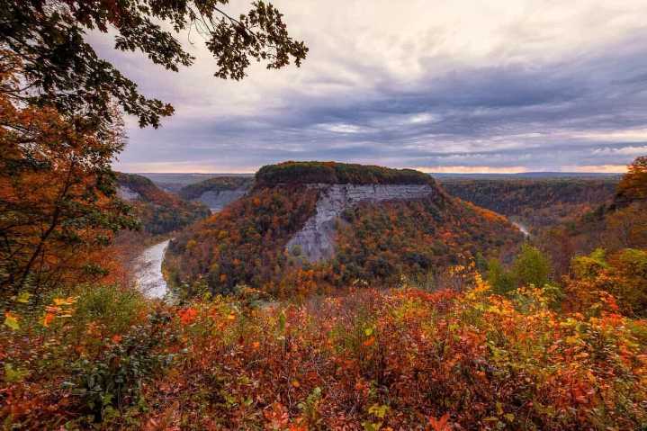 This might be the best time in Upstate NY to see stunning fall foliage in 2025