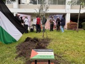 Siembra UAM-Iztapalapa olivo como símbolo de solidaridad con Palestina