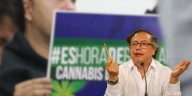 Gustavo Petro anunció que reglamentará en Colombia el uso no recreativo del cannabis, como parte de la política de sustitución de cultivos