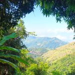 El Gobierno debería hacer más para frenar la deforestación, dice el 84 % de los colombianos