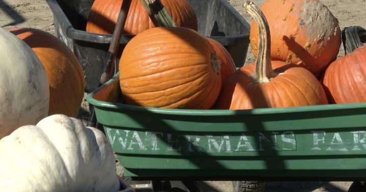 A fall tradition continues at Waterman's Family Farm on Indianapolis' south side